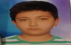 محمد طاها شریفی