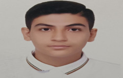 پارسا عباس پور