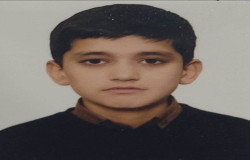 محمدامین بدرلو