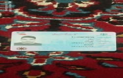 رضا اورکی