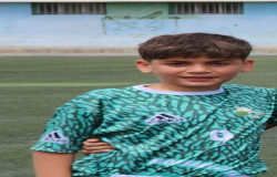 امیرعباس کاشفی زرنق