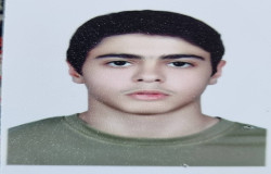 محمد امین زنگنه نجفی
