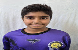 پارسا حسینی