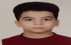 محمد ماهان غلامی