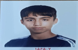 امیر مهدی احمدی زرنقی