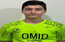 ماهان ضامنی