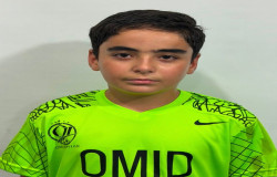 امير علي بهمن آبادي