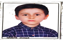 آرین نورانی