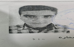 حامد محمدی