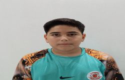 محمدمهدی عزتی