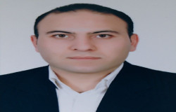 رامین احمدی