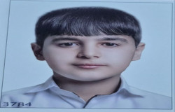 محمدرضا شیرزادی