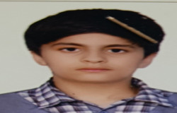 محمد جواد صحت مند