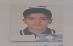 آریا رجبی
