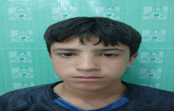 محمد امین حاجیلو