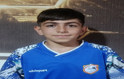 میرامیرمحمد حسینی شرفه
