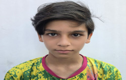 محمد دربایار