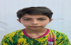 آریو لطف الهی