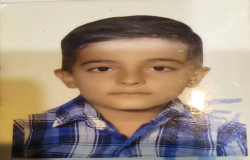امیررضا سیاووشی