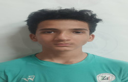 علی میرزائی