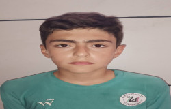 علیرضا نهاوندی