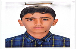 شاهین ولی اللهی
