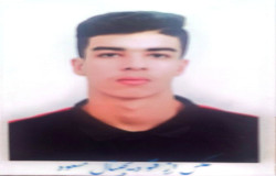 امیرحسین براری