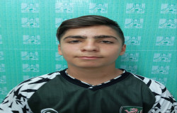 ایلیا میرزایی