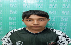 ابوالفضل سبک پاماراللو