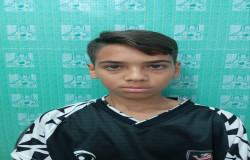 مبین گودرزی