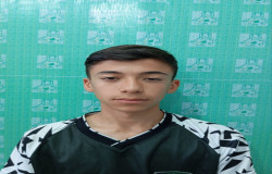 محمد حسام محمدی
