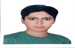 محمد پارسا رضایی لیایی