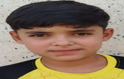 امیرمهدی علیپور سیه دولانی
