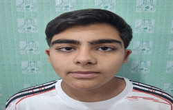 محمدحسین ولی اللهی