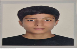 پویان نوری