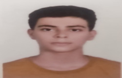 امیر مهدی جعفری