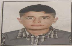 محمد رضا همتی