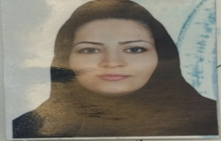 فرشته حسن بیگی