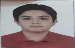 پارسا پور داورانی