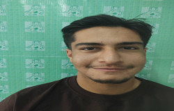 پارسا موجرلو