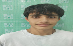 آرین چوبینی