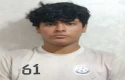 رضا افشاری