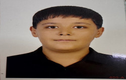 رضا مهدوی کیا