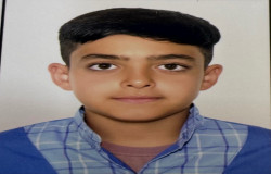 محمدپارسا عصاری