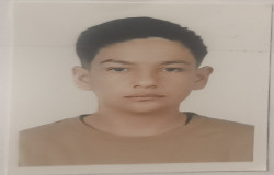 محمدمهدی کرمی