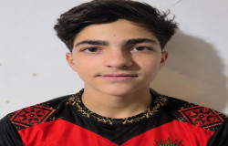 رضا محمدی