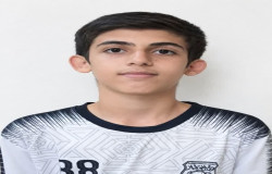 میلاد شایسته