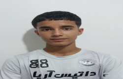 امیر مهدی نظری