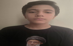 محمد جواد میرزایی بیغش