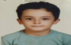 امیر علی اناری